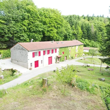 Le Bois Des Fees Les Martys