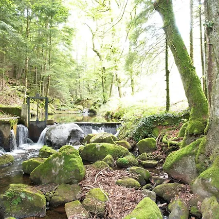 Le Bois Des Fees